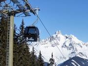 Papagenobahn con Bischofsmütze