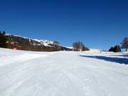 Pista di esercitazione Snow Island