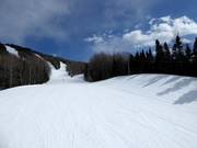 Pista intermedia Mary Grace