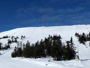 Vista sulle piste n. 1 e n. 5 presso Skihytta Ekspress