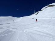 La pista nera Petersgrat