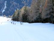 Temblerlift - Skilift a piattello