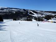 Pista facile Nybegynnerbakken