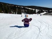 Suggerimento per i più piccoli 