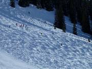 I dossi sono una sfida