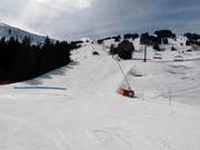 Discesa Coq Bruyère