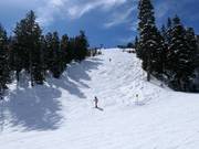 Pista ripida presso la Mountaineer Express