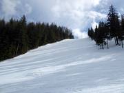 Pista Bronco's Pitch