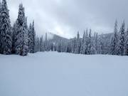 Pista molto facile nel Red Mountain Resort