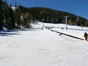 Pista facile con tappeto roulant