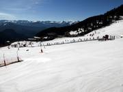 Tappeti mobili per principianti ad Arinsal presso Comallemple