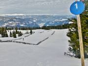 Discesa familiare esterna blu agli impianti Zirbenlifte