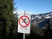 È anche "il tuo" bosco