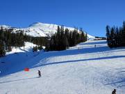 Discesa n. 27 World Cup Downhill