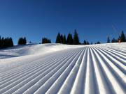 Ottima preparazione delle piste