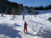 Steckenberglift III (B) - Skilift a piattello