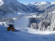 Innevamento di riserva ai bordi della pista