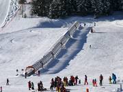 Sunny Kids Park - Tapis roulant/Tappeto Magico con galleria