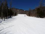 Ampia discesa tra radure boschive