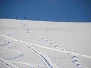 Si fanno circa 20 curve