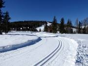 Pista da fondo sulla Hochrindl