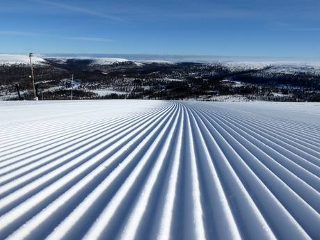 Preparazione delle piste Svezia – Preparazione delle piste Tandådalen/Hundfjället (Sälen)