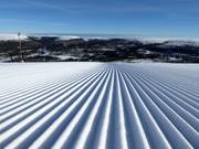 Pista appena preparata a Tandådalen