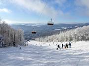 Vista dall'Almberg sulla Foresta Bavarese