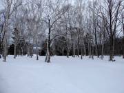 Facili discese nel bosco presso la seggiovia quadriposto High Speed Lift 1