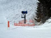 Cannone da neve nell’area sciistica di Fernie