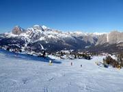 Pista n. 61 Tondi Normale