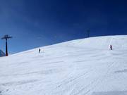 Pista larga n. 3 Wilder Mann