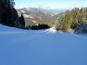 Pista n. 11 verso Záhradky