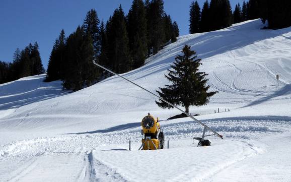 Sicurezza neve Gstaad – Sicurezza neve Rinderberg/Saanerslochgrat/Horneggli - Zweisimmen/Saanenmöser/Schönried/St. Stephan