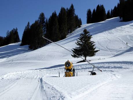 Sicurezza neve Simmental – Sicurezza neve Rinderberg/Saanerslochgrat/Horneggli - Zweisimmen/Saanenmöser/Schönried/St. Stephan
