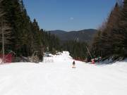 Pista 6 Ski road Pamporovo (Tourist)