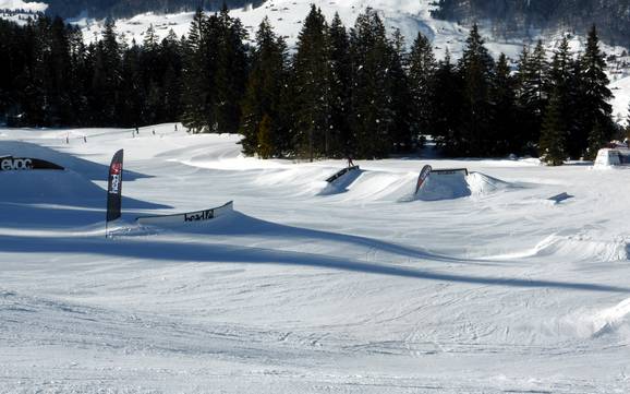 Snowparks Toggenburg – Snowpark Wildhaus - Gamserrugg (Toggenburg)