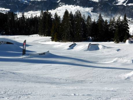 Snowparks Prealpi di Appenzello – Snowpark Wildhaus - Gamserrugg (Toggenburg)
