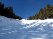 Pista estremamente difficile The Chute