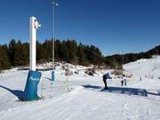 Telecorda Freestyle - Manovia/Babylift a fune bassa