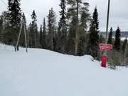 Facile pista di collegamento nell’area sciistica di Ounasvaara