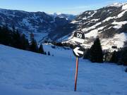 Pista nera con gobbe