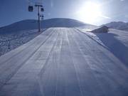 Attesa gioiosa al mattino