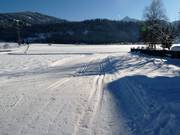 Pista da fondo tra Radstadt e Altenmarkt