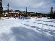 Area di esercitazione con tappeto coperto