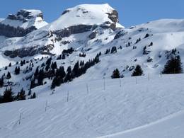 Hoch-Ybrig - Unteriberg/Oberiberg