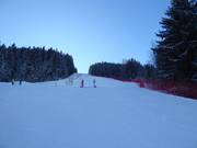 Pista Olympique Willy Favre (Les Diablerets)