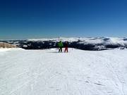 Inizio delle piste all'Aineck