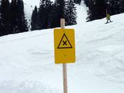 Gli incroci sono segnalati