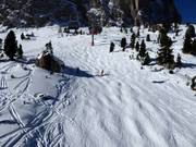 Pista di gobbe al Sotsalong